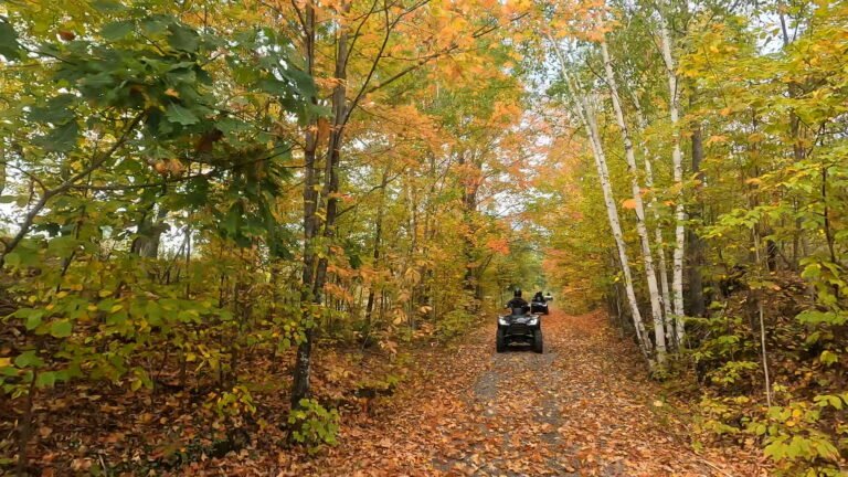 atv rideing in the trail