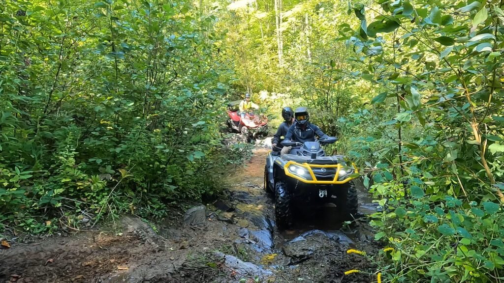 ATVs riding in the trails