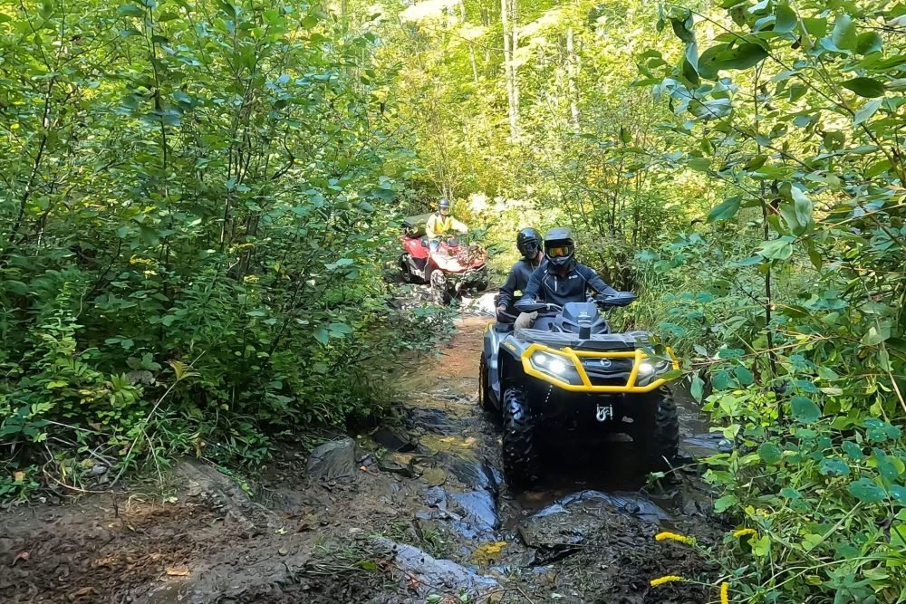 ATVs riding in the trails